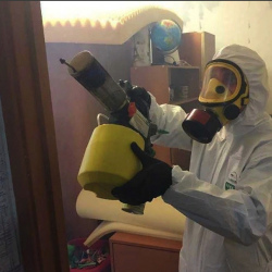 Уничтожение клопов в квартире. Далматово